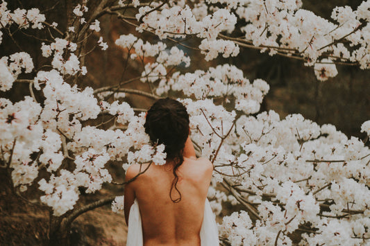 Brushing Away the Toxins: The Ultimate Guide to Body Brushing