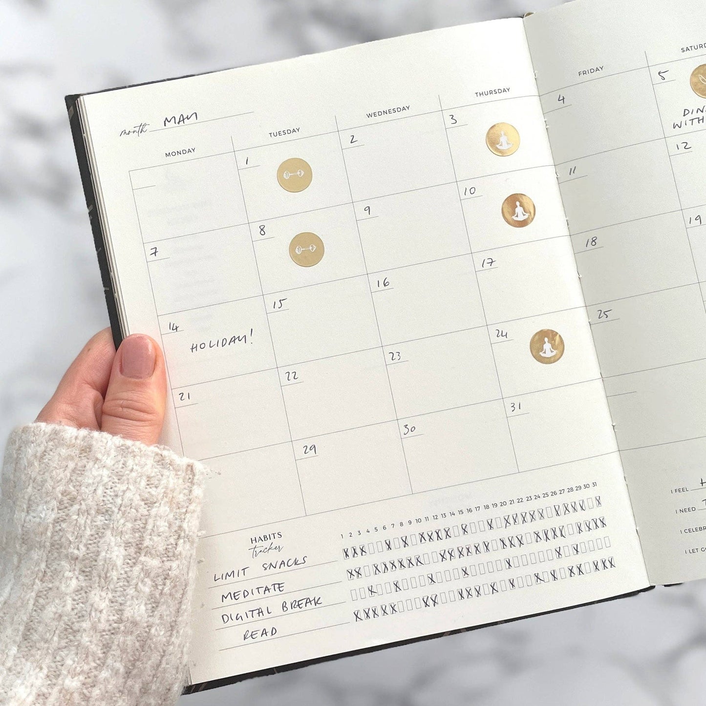 Body + Soul (Cloth) Wellness Journal and Planner (Cloth)