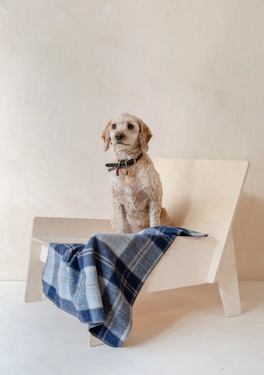 Recycled Wool Small Pet Blanket in Bannockbane Silver