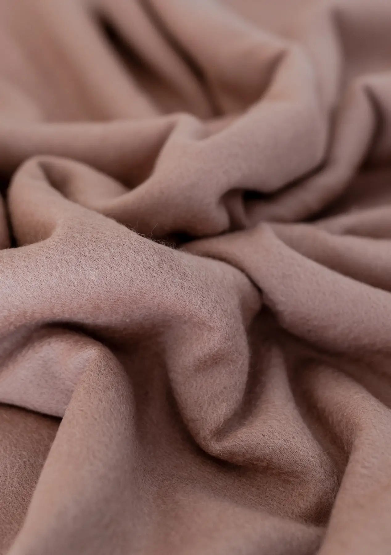 Lambswool Blanket in Blush