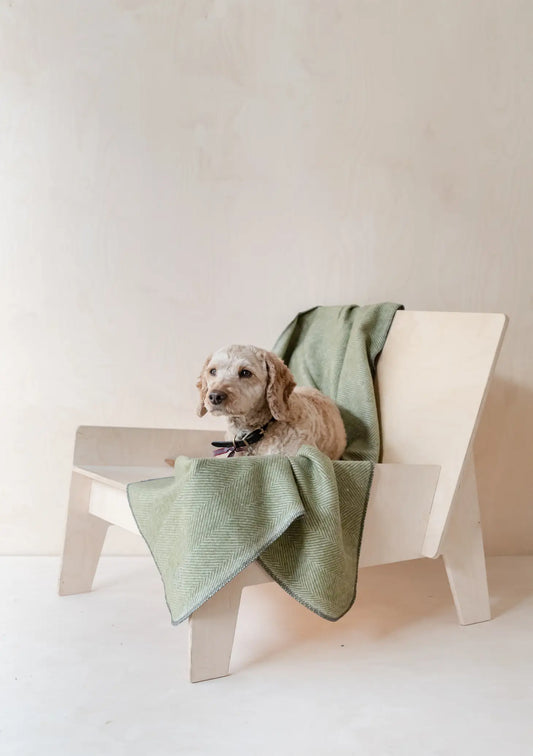 Recycled Wool Large Pet Blanket in Olive Herringbone