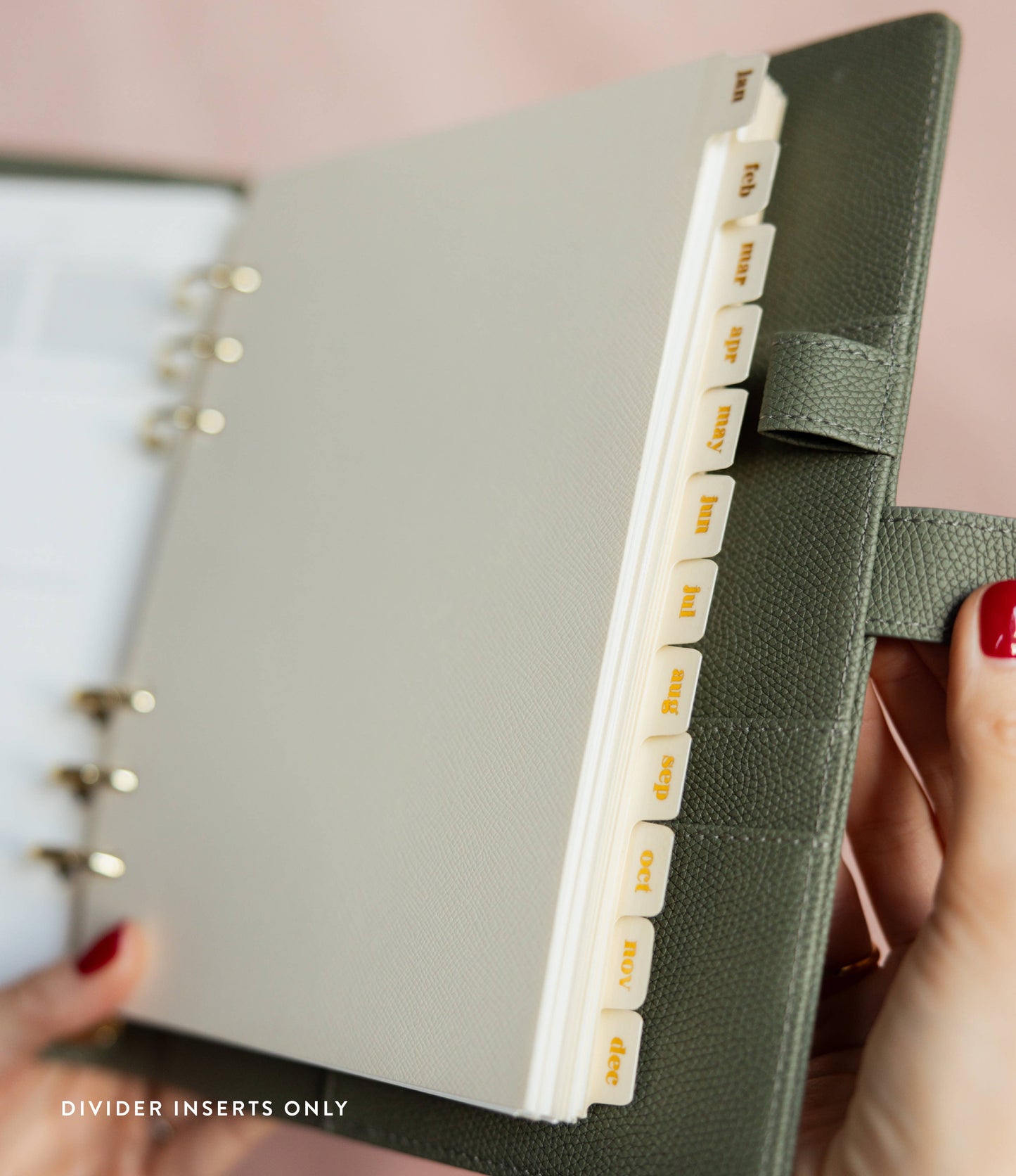 Monthly Divider Inserts