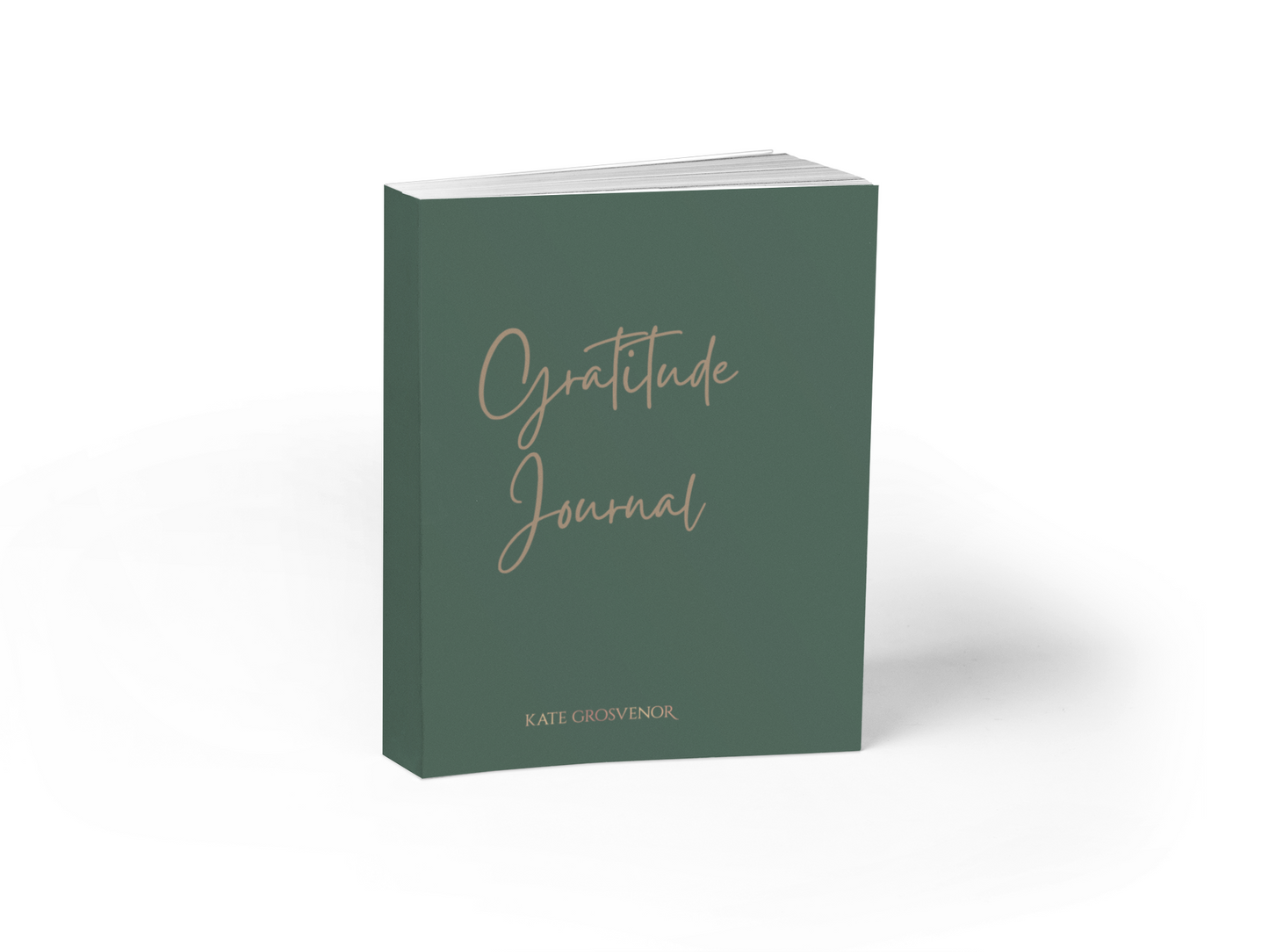 Gratitude Journal ( Linen Cover )