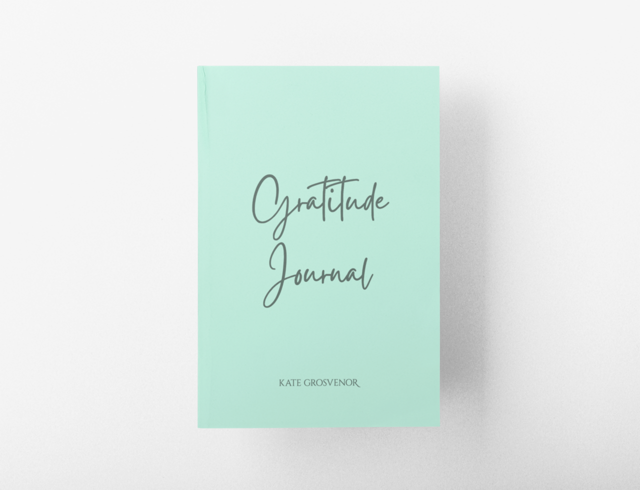 Gratitude Journal ( Paper Back )
