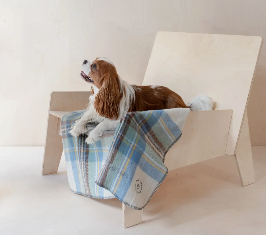 Gifts for Pets
