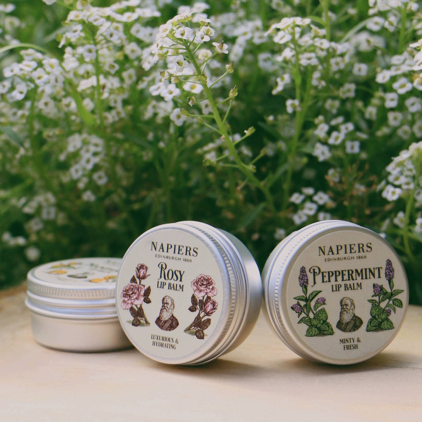 Napiers Rosy Rose Lip Balm: 15ml