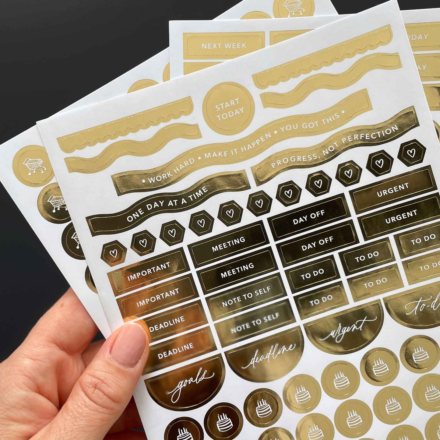 Planner Sticker Pack (3 sheets)