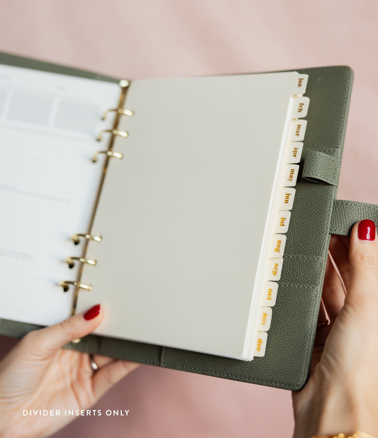 Monthly Divider Inserts