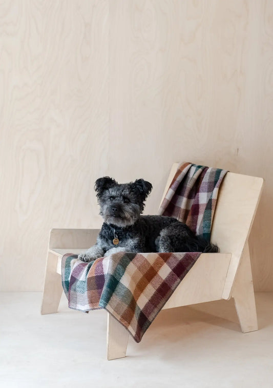 Recycled Wool Large Pet Blanket in Forest Herringbone Check
