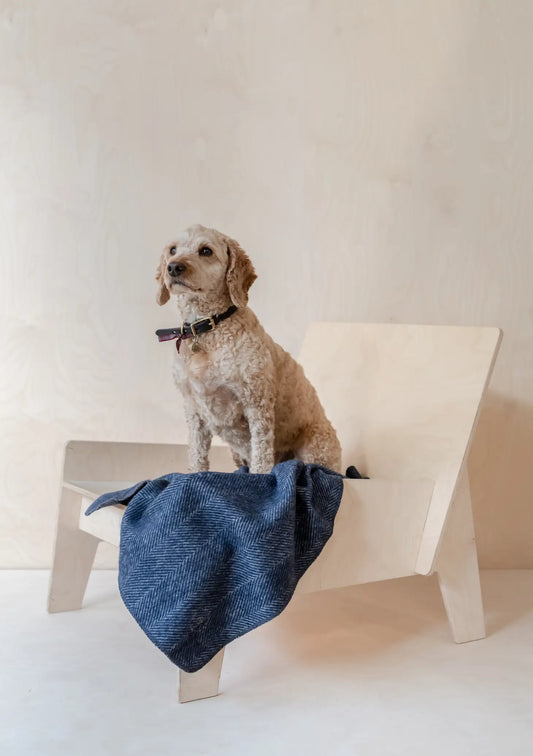 Recycled Wool Small Pet Blanket in Navy Herringbone