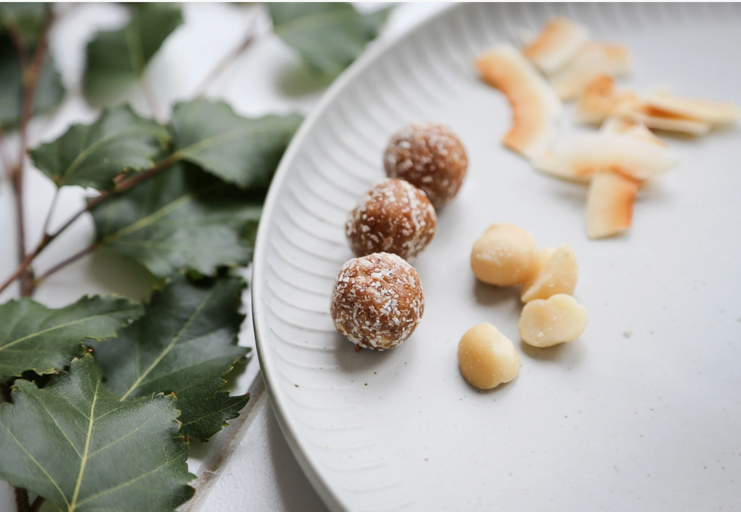 Coconut & Macadamia Protein Balls