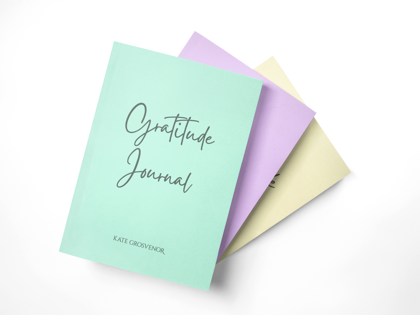 Gratitude Journal ( Paper Back )